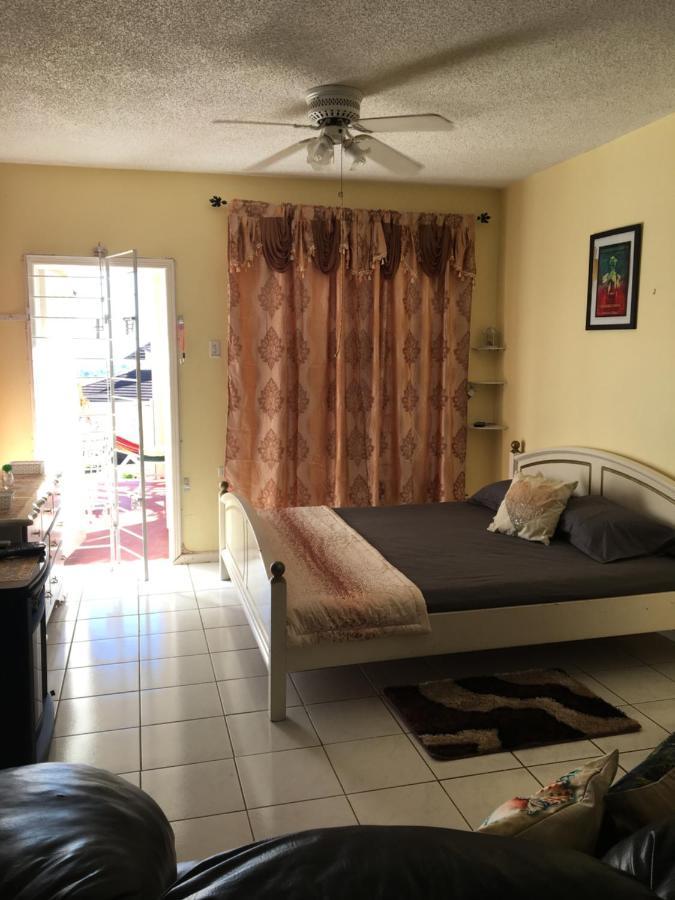 #D1 Castle Studio Wifi King Bed Ocho Rios Jamaica Εξωτερικό φωτογραφία