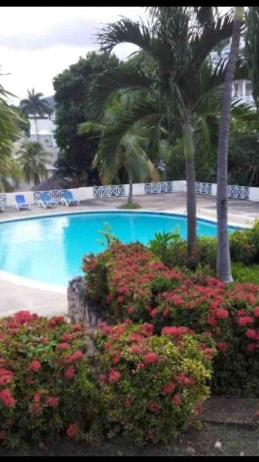 #D1 Castle Studio Wifi King Bed Ocho Rios Jamaica Εξωτερικό φωτογραφία