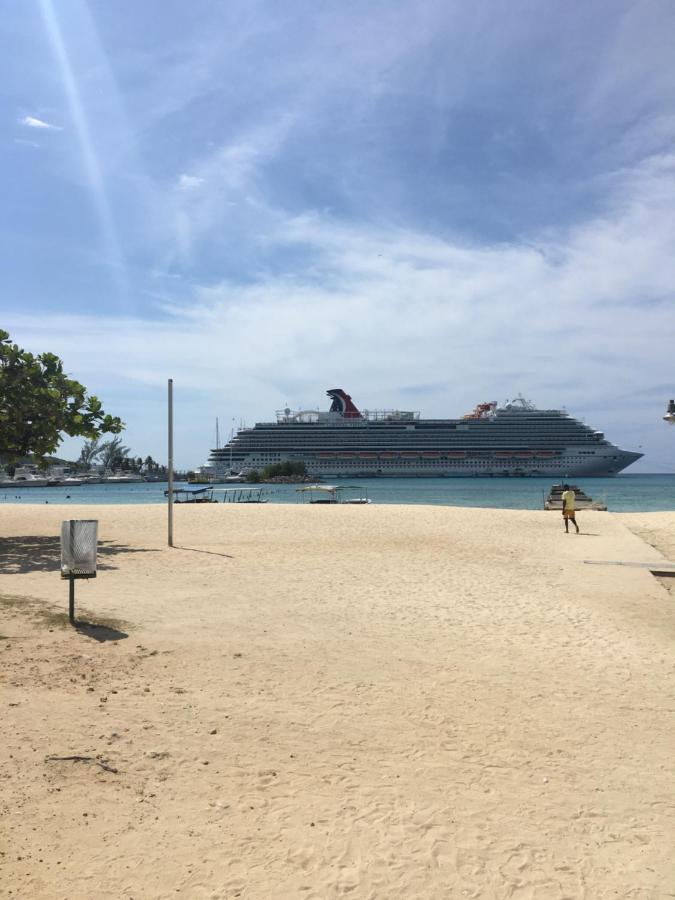 #D1 Castle Studio Wifi King Bed Ocho Rios Jamaica Εξωτερικό φωτογραφία