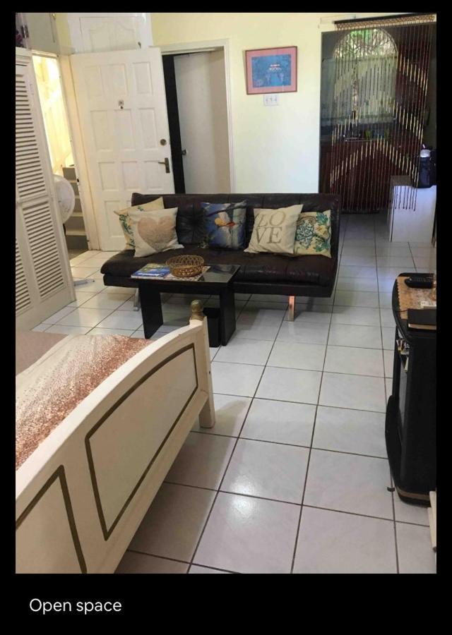 #D1 Castle Studio Wifi King Bed Ocho Rios Jamaica Εξωτερικό φωτογραφία